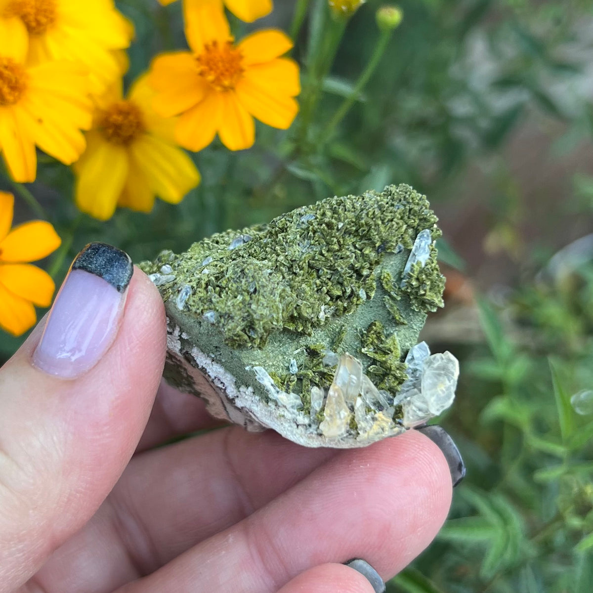 Forest green Epidote with Clear Quartz crystals - Small Golden Healer Quartz at base 
