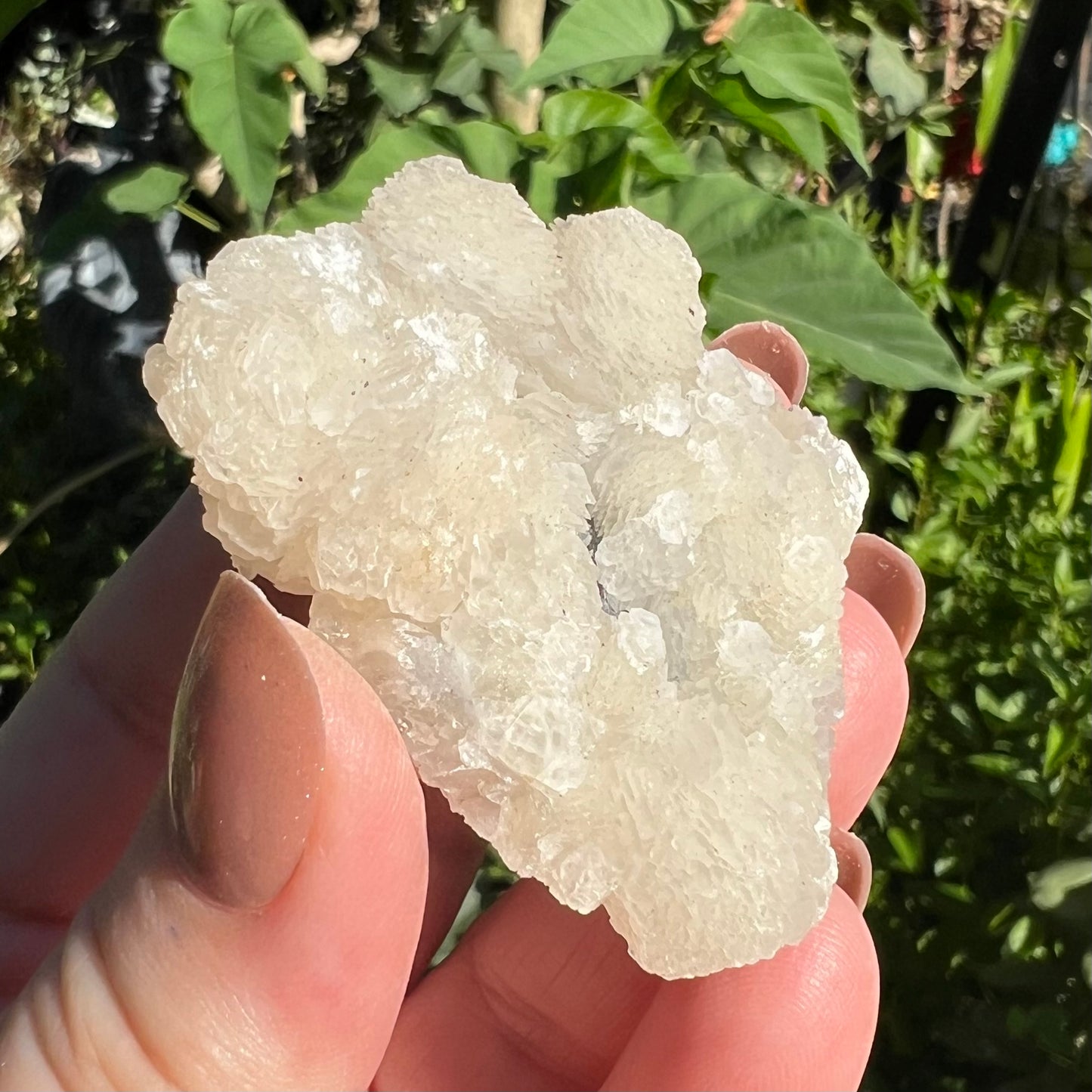 ‘Flower’ Calcite Mineral Specimen - Fujian, China | UV Reactive