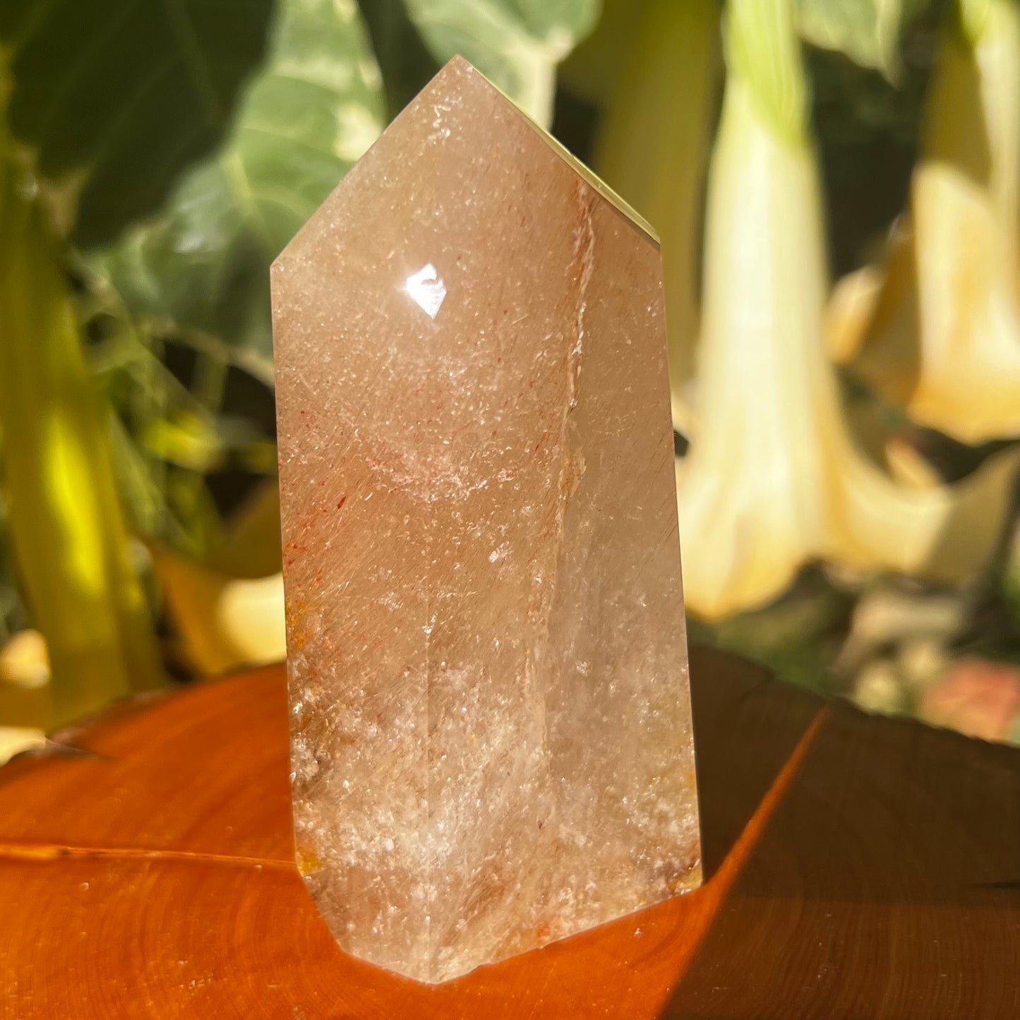 Golden Healer Sea Urchin Quartz Polished Point - Brazil | Hollandite, Iron and Rutile inclusions