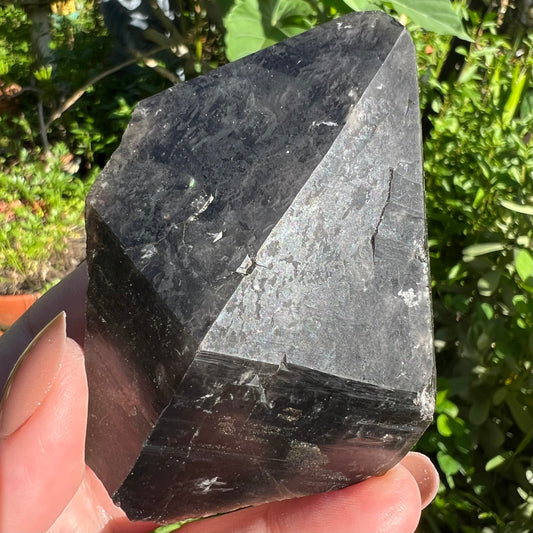 Morion Smoky Quartz Point