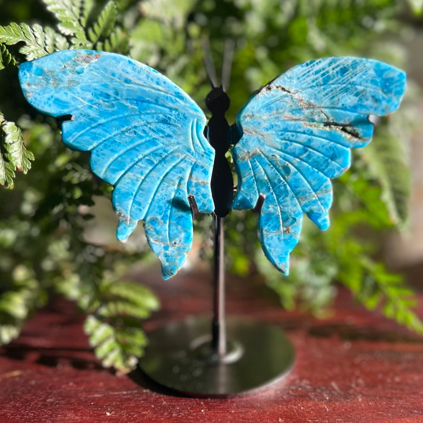 Apatite Winged Butterfly Display