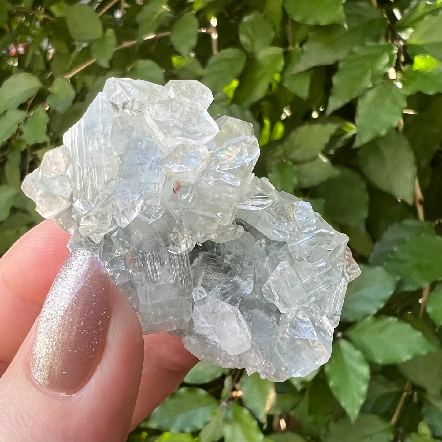Clear Apophyllite Zeolite specimen - Jalgoan District, Maharashtra, India