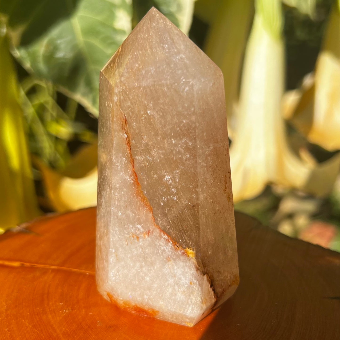 Golden Healer Sea Urchin Quartz Polished Point - Brazil | Hollandite, Iron and Rutile inclusions