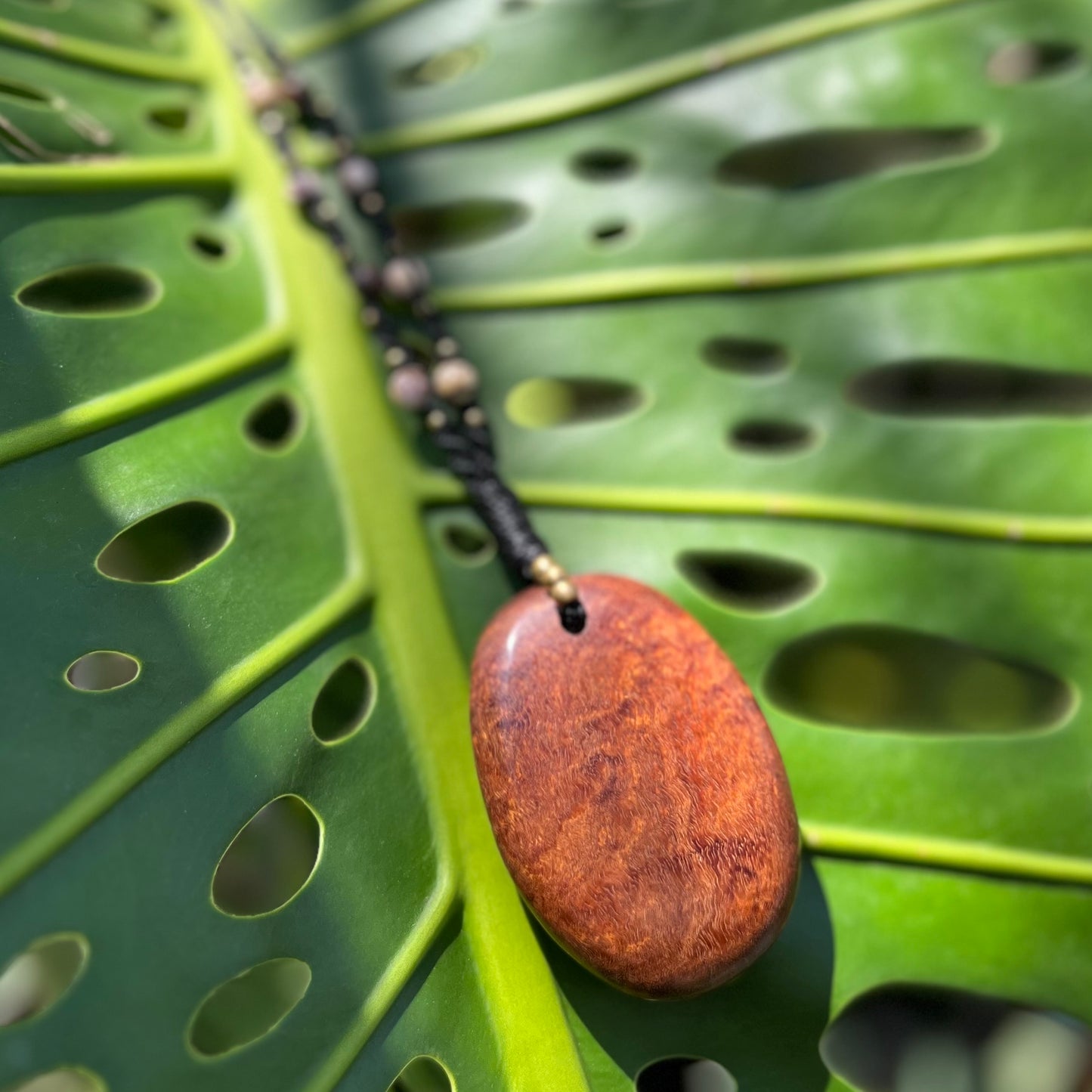 Gidgee wood & Zebra Jasper Macrame Necklace - 'Spirit of Dryad' Talisman