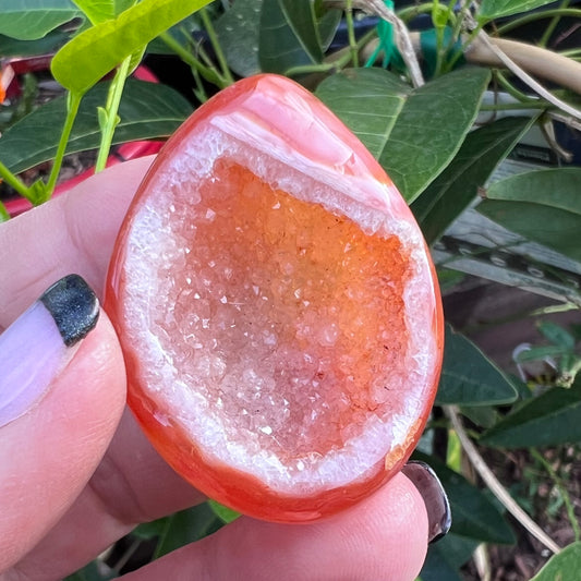 A hand holds a polished orange agate geode cabochon with a white crystalline interior, set against a background of green garden leaves.