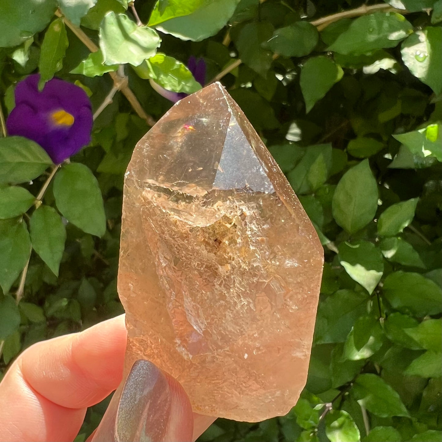 Smoky Quartz Point - Channeling Quartz with Rutile & Isis Window.