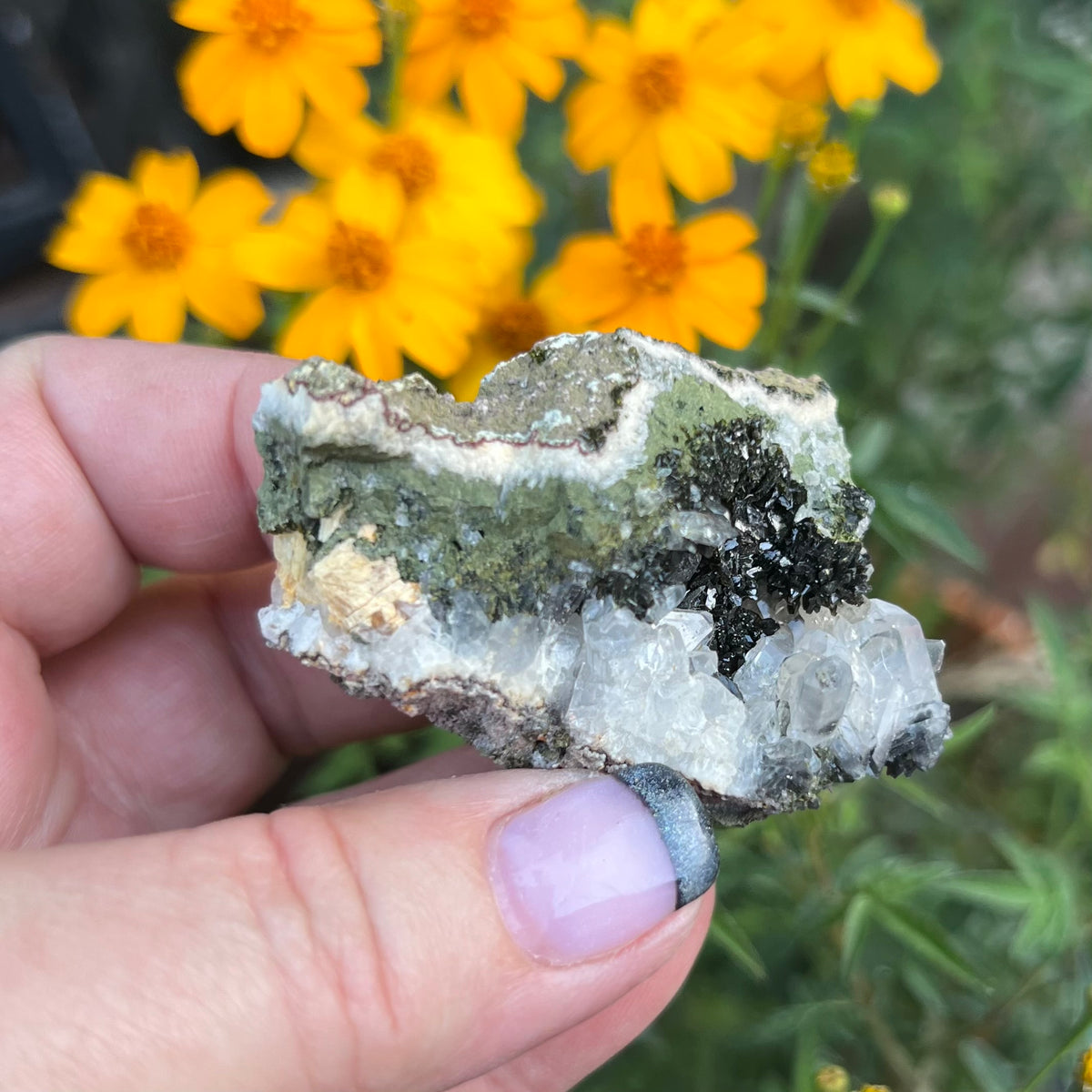 Epidote and Quartz 'Sandwich' Cluster Specimen - 'Fairy Forest' specimen