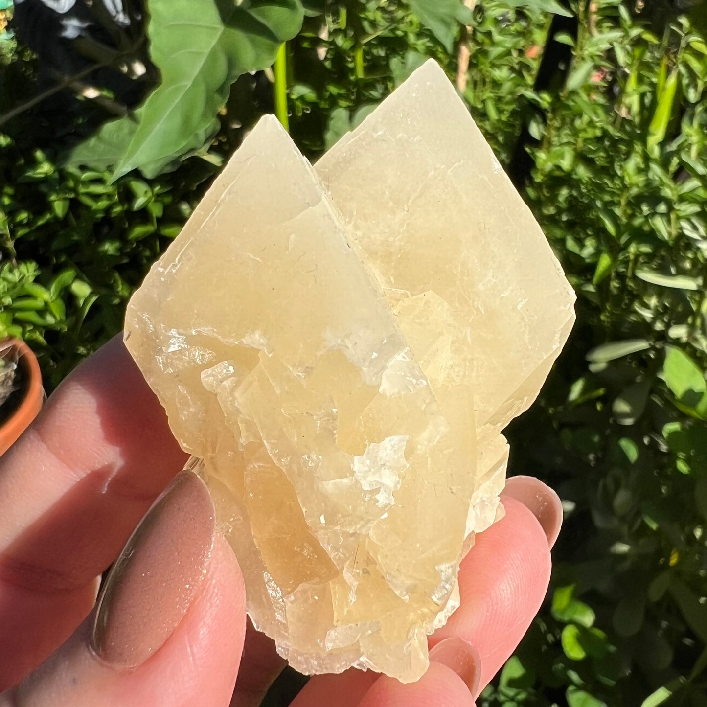 Yellow Calcite Cluster - Yunnan, China