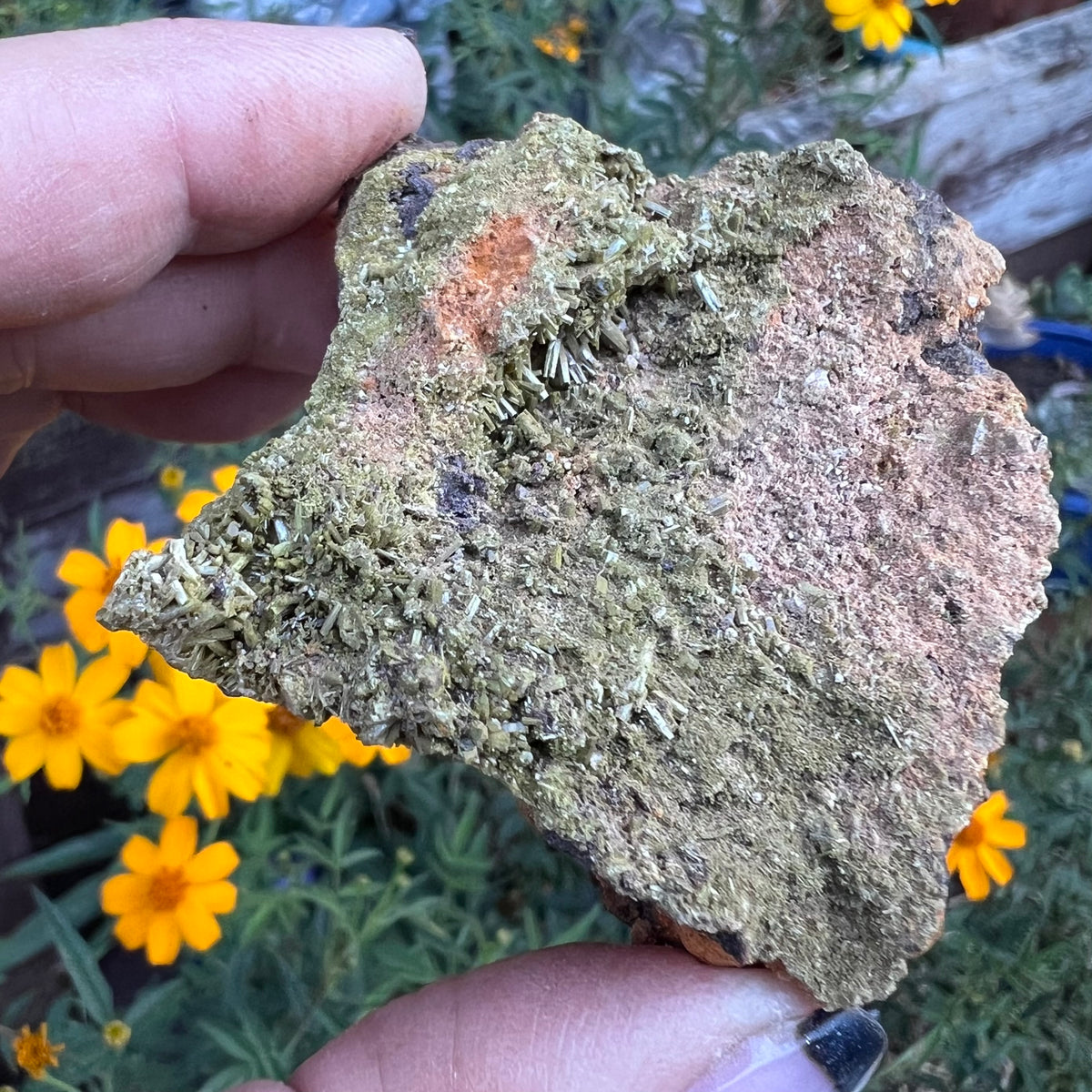 Natural earthy Epidote on matrix mineral specimen - Liangshan, Sichuan Province, China