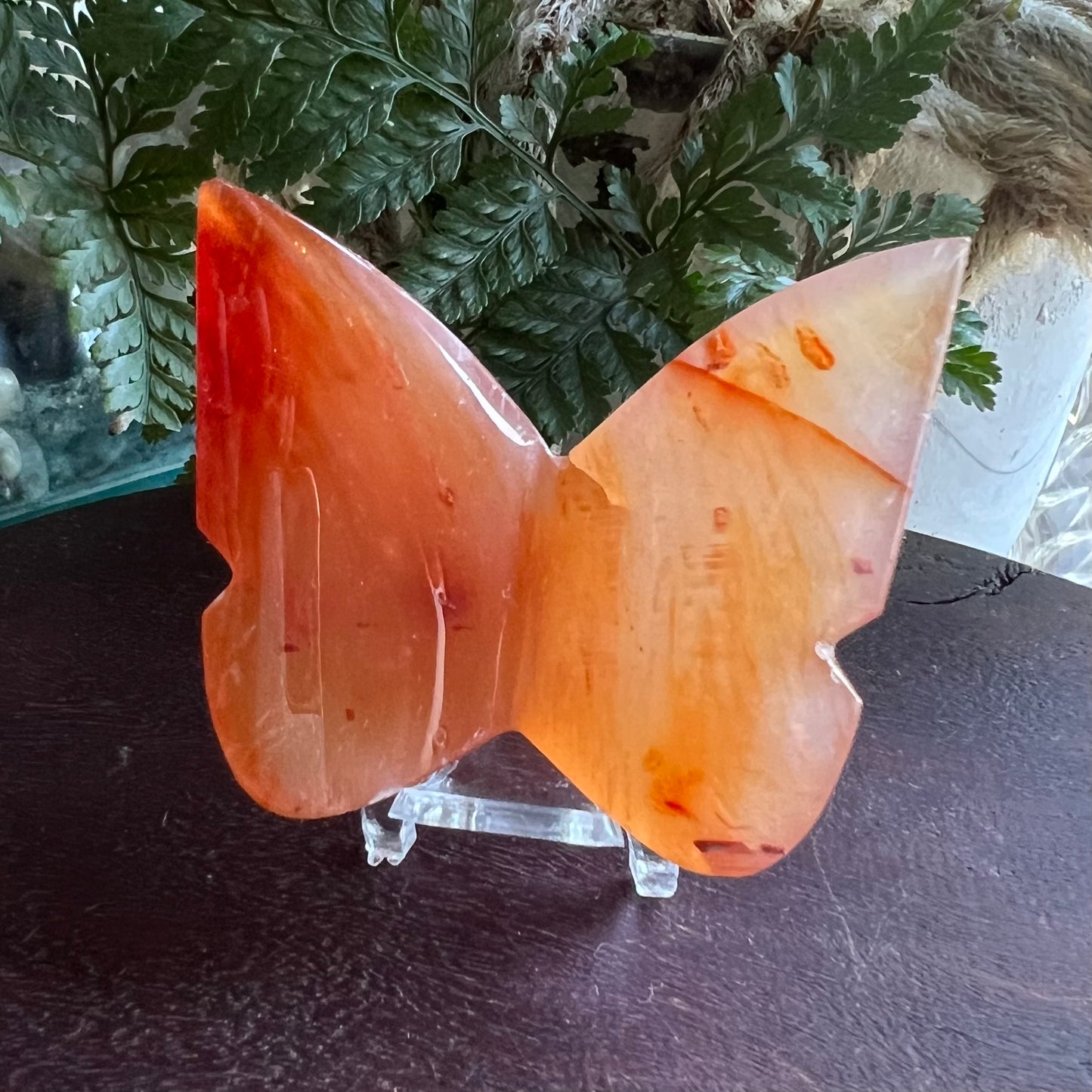 Carnelian 3D Butterfly Carving
