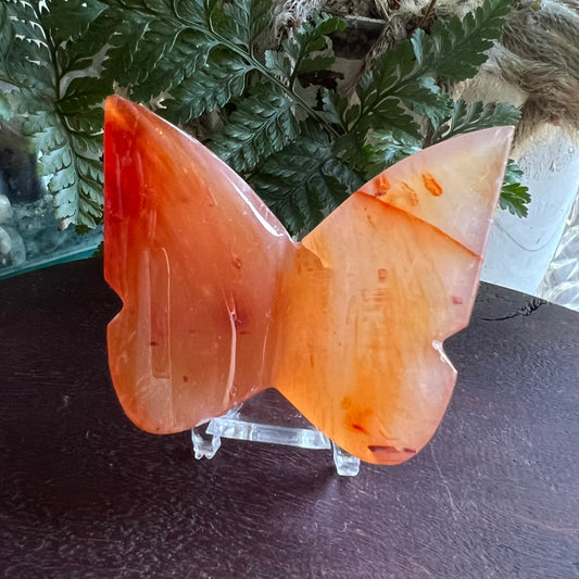 Carnelian 3D Butterfly Carving