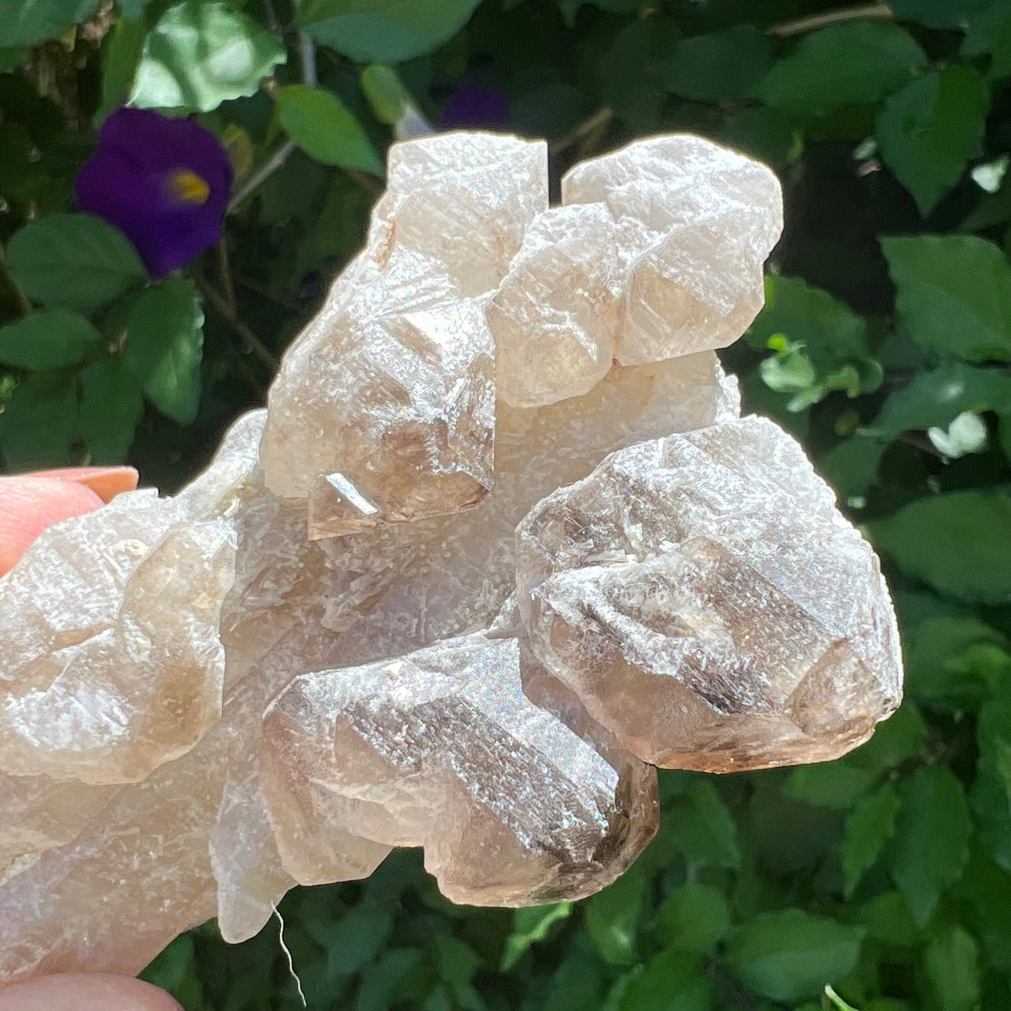 Elestial Stalactite of Clear Quartz with DT Smoky Quartz - Inner Mongolia