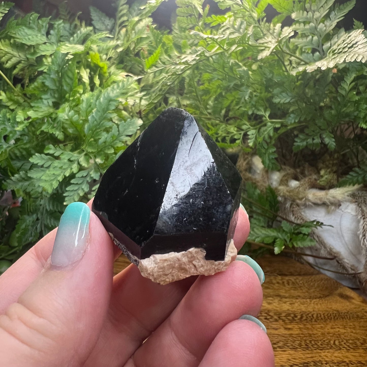 Morion Quartz Point - Black Quartz - Natural - Record Keepers