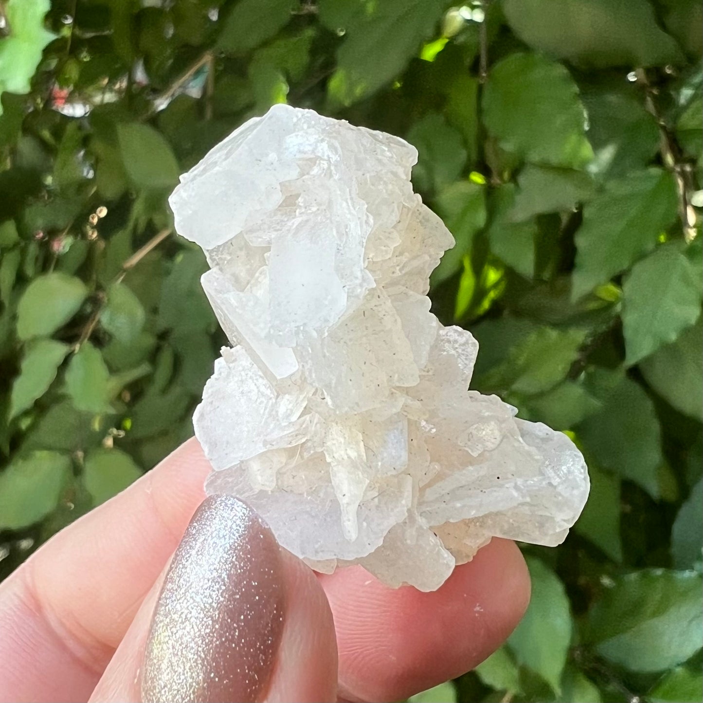 Mirror Apophyllite on Druzy Apophyllite Small Zeolite Cluster - Jalgoan District, Maharashtra, India
