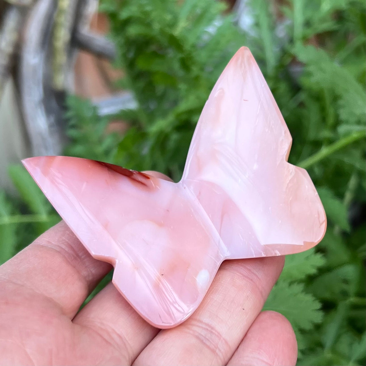 Carnelian 3D Butterfly Carving