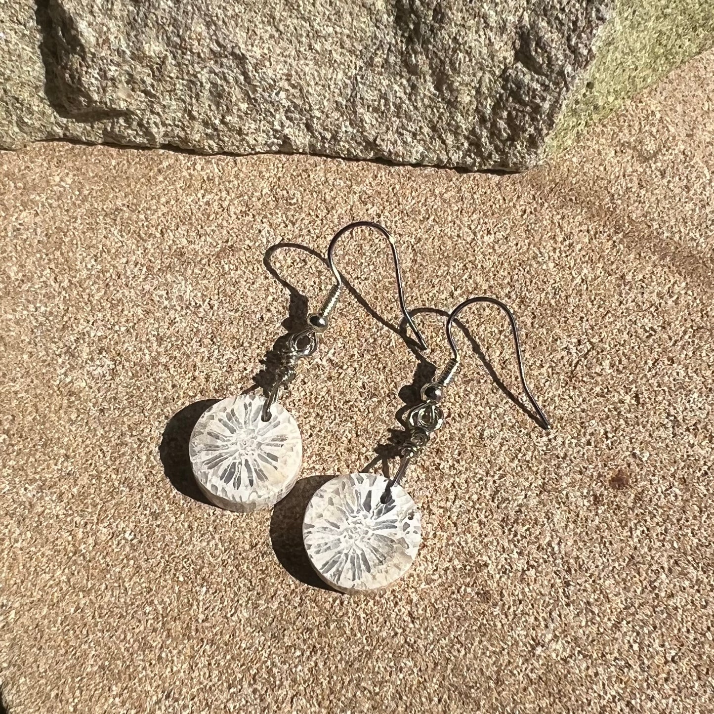 Polished Coral Fossil Crystal Earrings