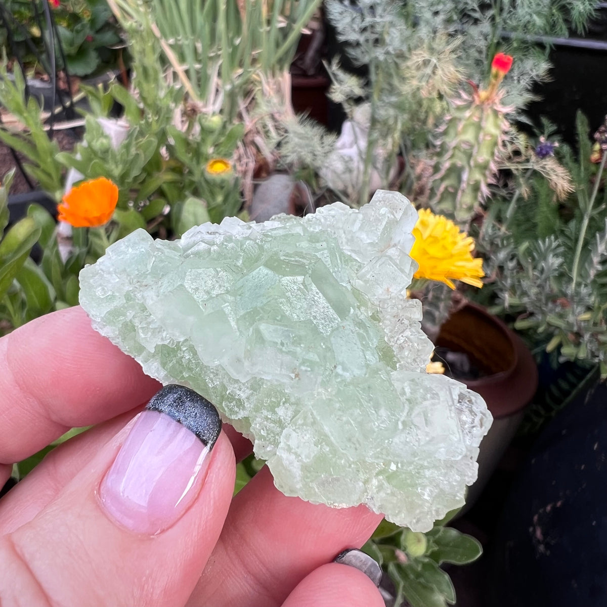 Green Octahedral Fluorite Specimen - Fujian, China