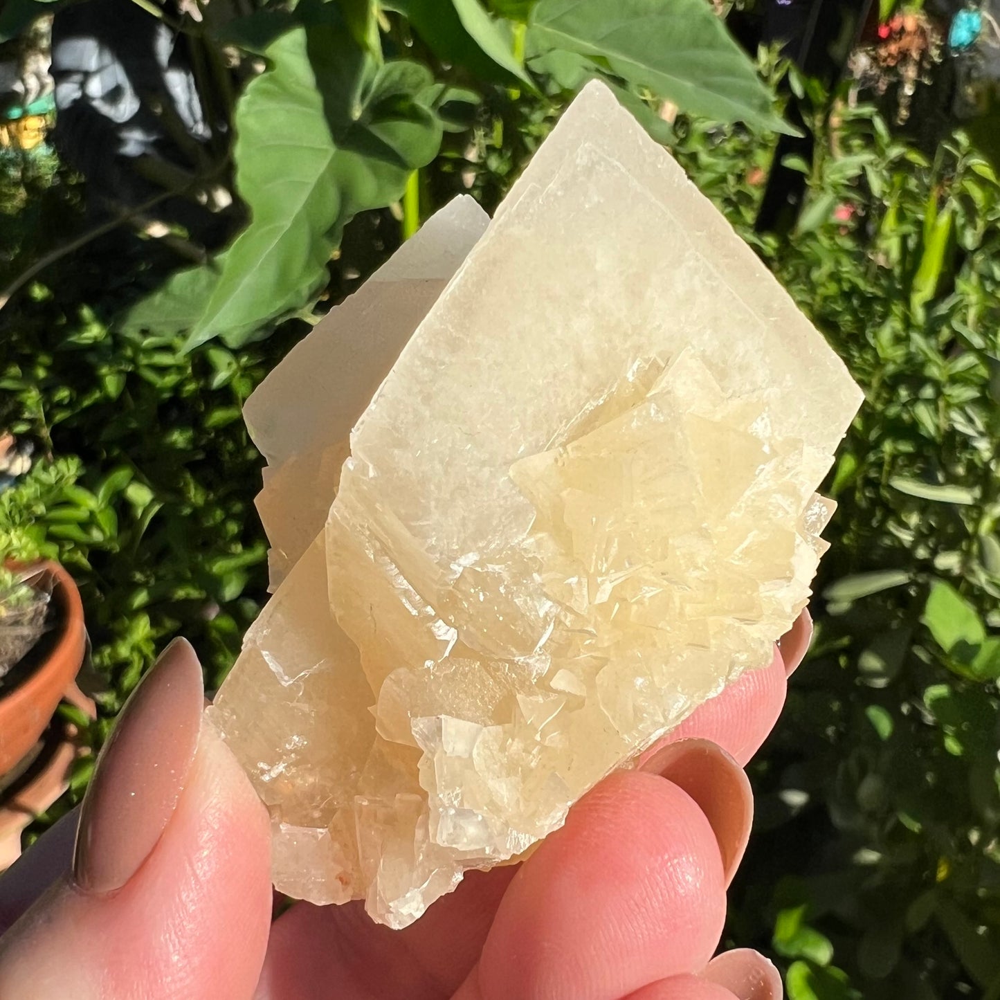 Yellow Calcite Cluster - Yunnan, China