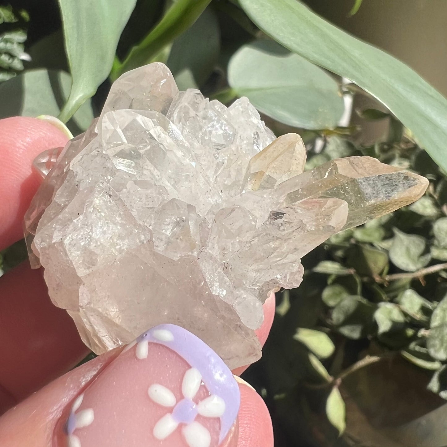 Small Golden Healer Quartz Cluster (Brazil)