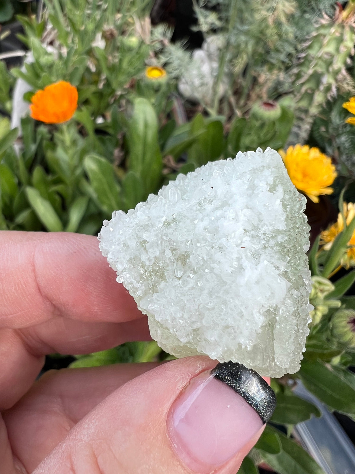 Large Octahedral Fluorite Section Specimen blanketed in Quartz Druzy