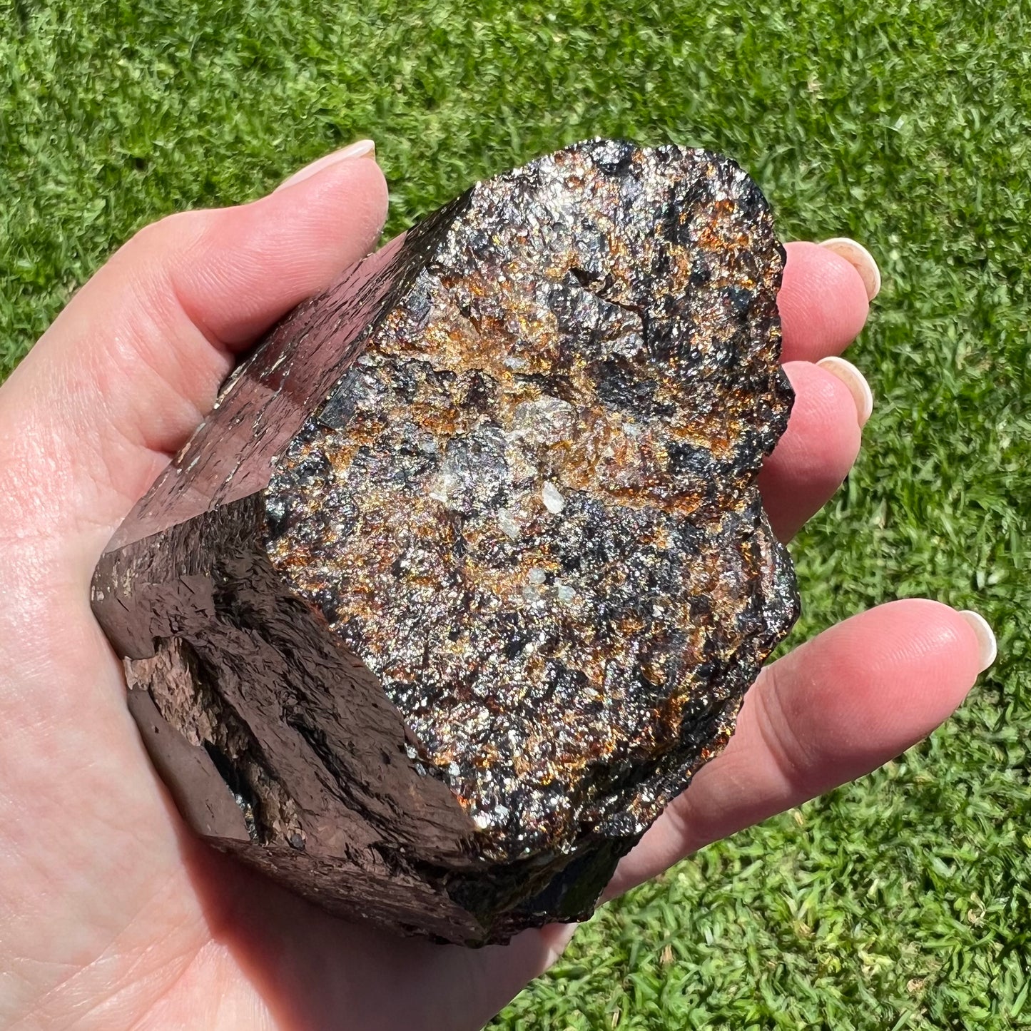 Large Rough Dravite Specimen (Brown Tourmaline) - Yinnethara Region, Western Australian