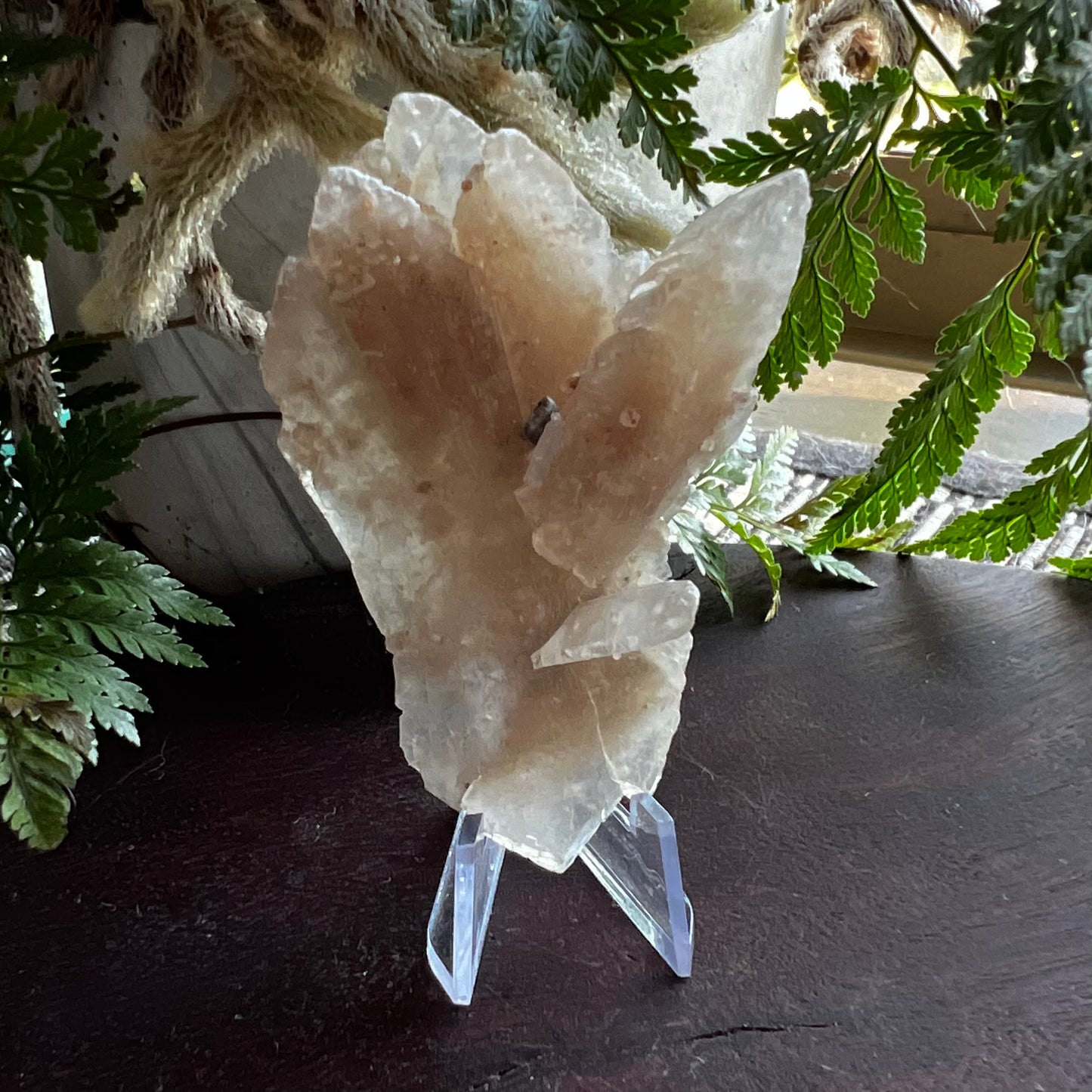 Selenite Desert Rose | Gypsum Rose Selenite Specimen | South Australia, Aus