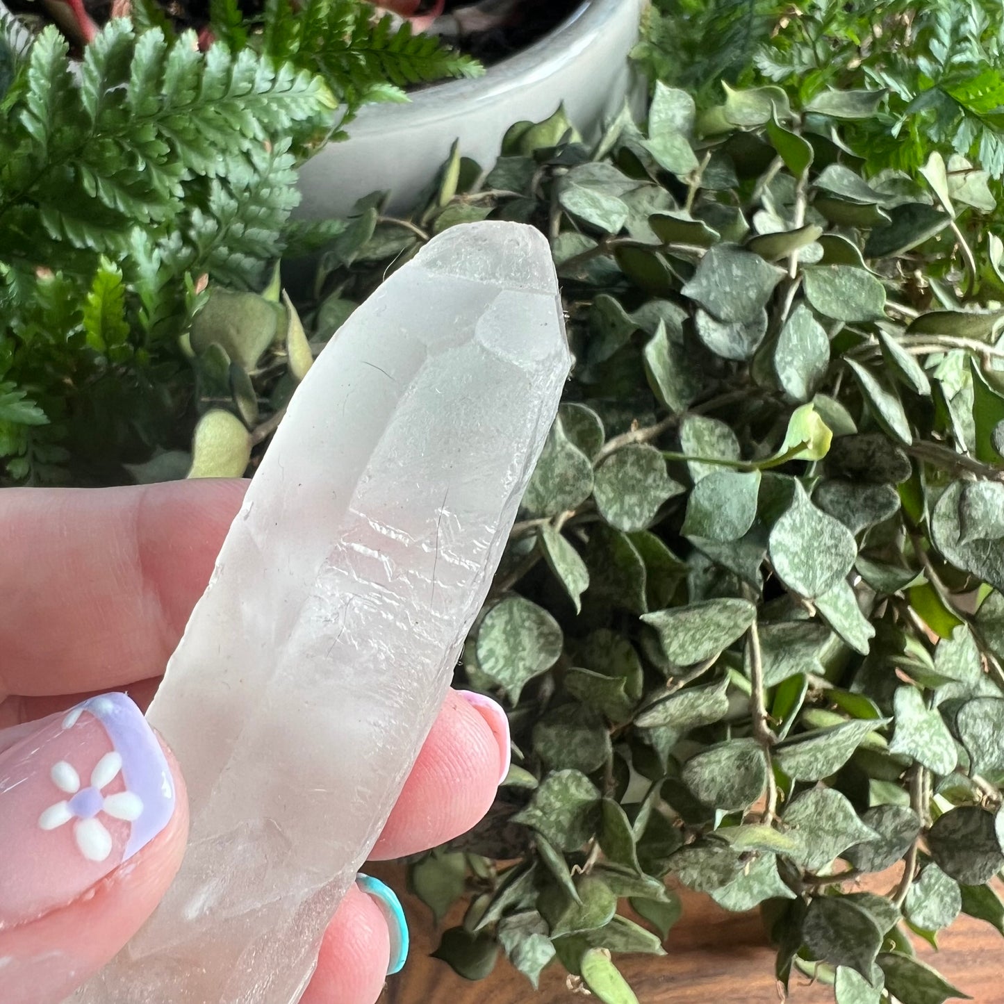 Red Skeletal Quartz Points with root - Brazil - Hematite incl Quartz (iv)