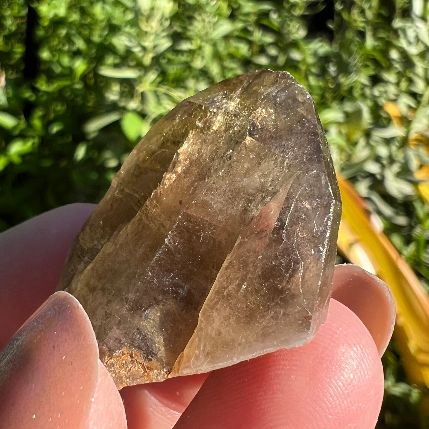 Beautiful and earthy, natural Smoky Quartz point