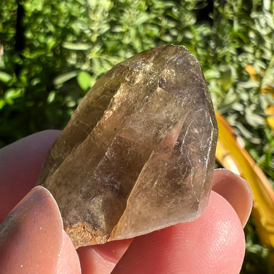 Beautiful and earthy, natural Smoky Quartz point