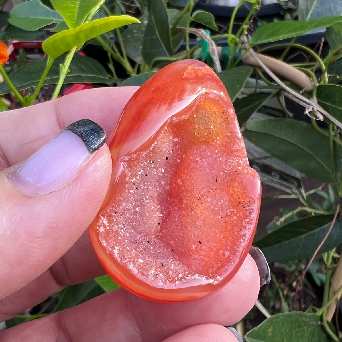Polished Carnelian Agate Egg Geode|Palm Stone with Quartz Druzy