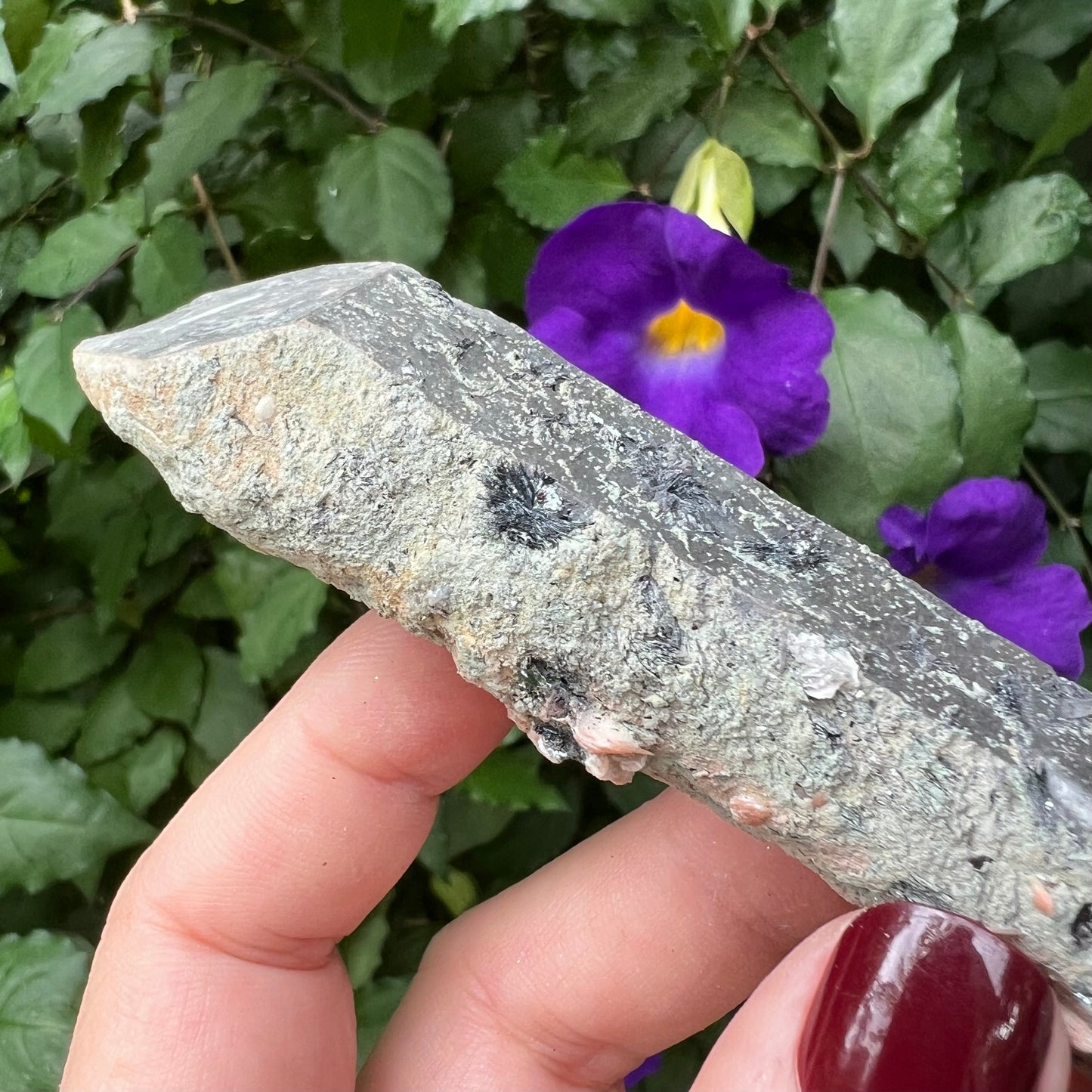 Inner Mongolian Quartz Point with Calcite, Specular Hematite, Hedenbergite and Iron Ore inclusions