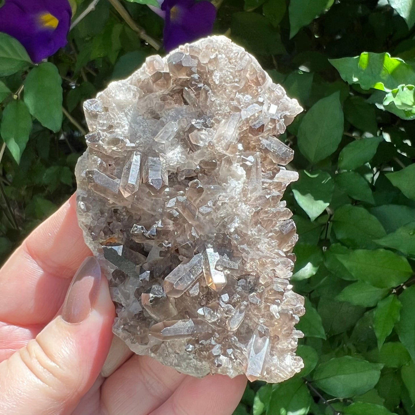 Smoky Quartz Cluster - lovely small point display