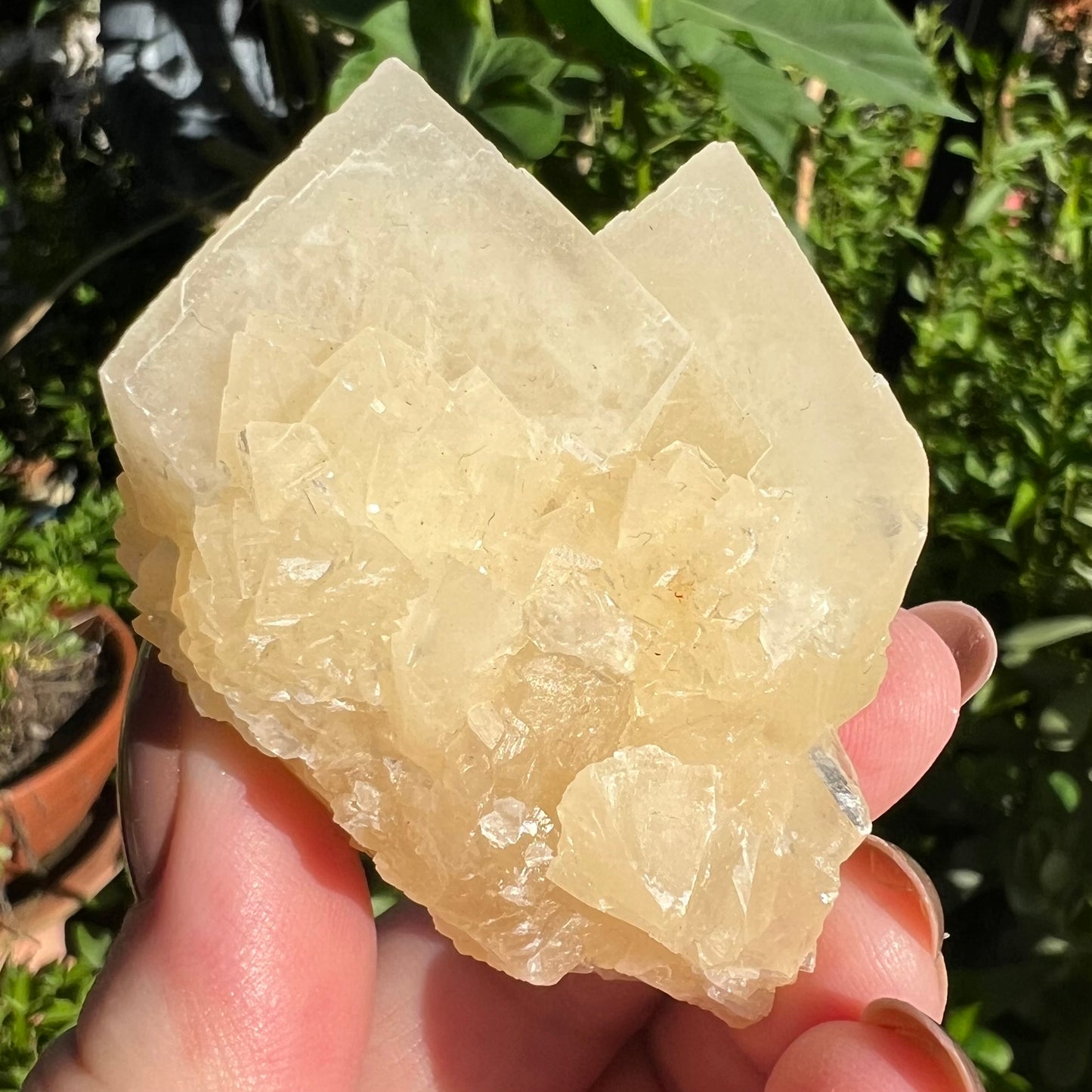 Yellow Calcite Cluster - Yunnan, China