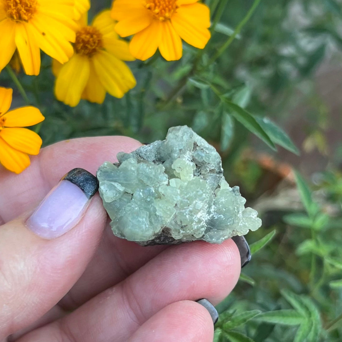 small aggregated prehnite specimen from Morocco