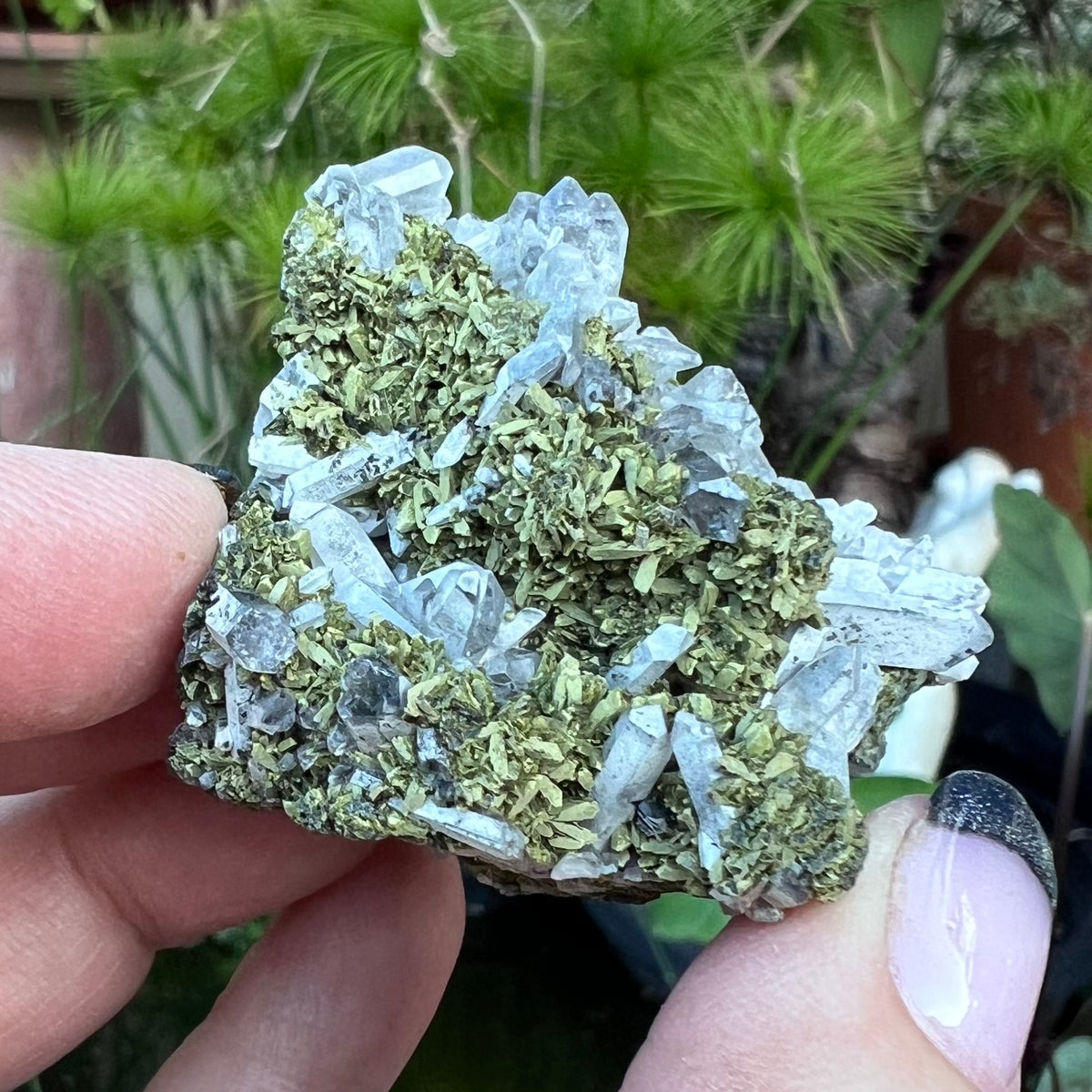 Epidote and Quartz Cluster Specimen - 'Fairy Forest' specimen