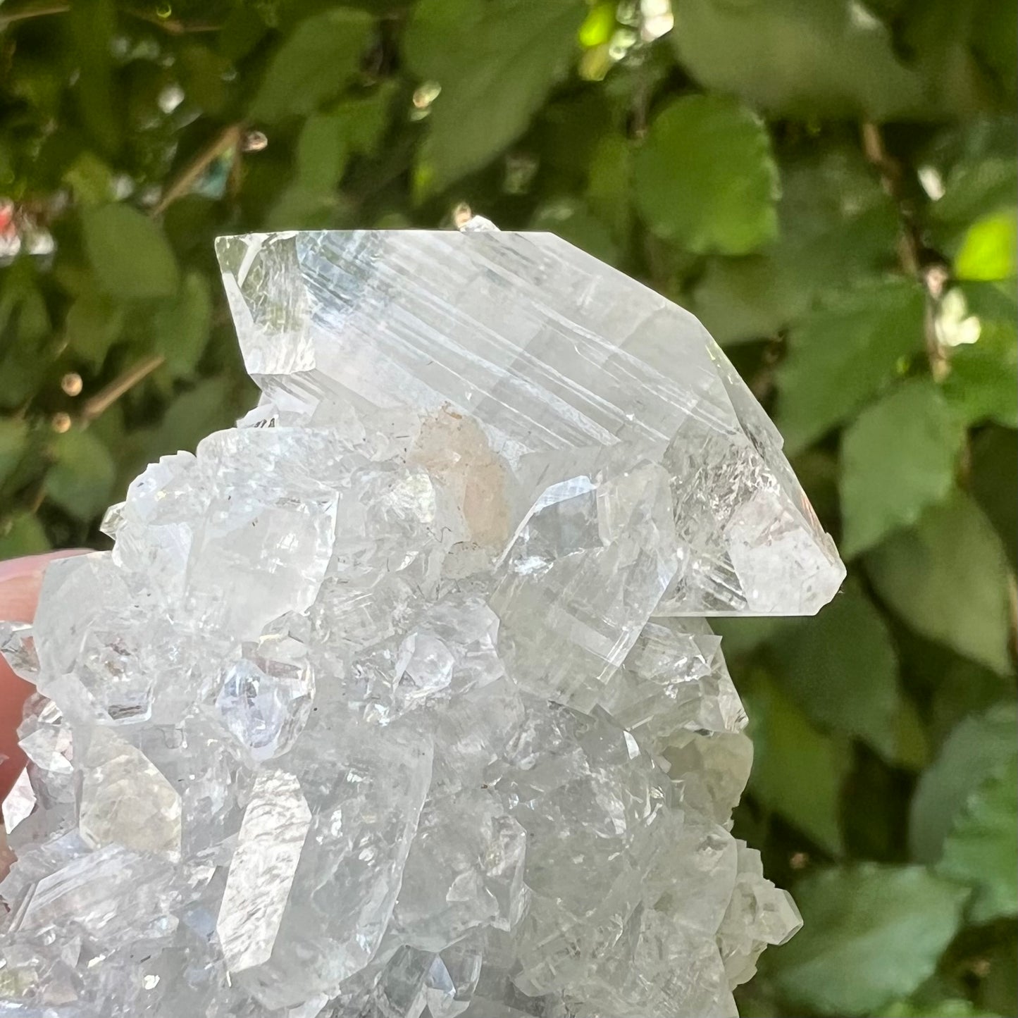 Double terminated mirror apophyllite point in cluster
