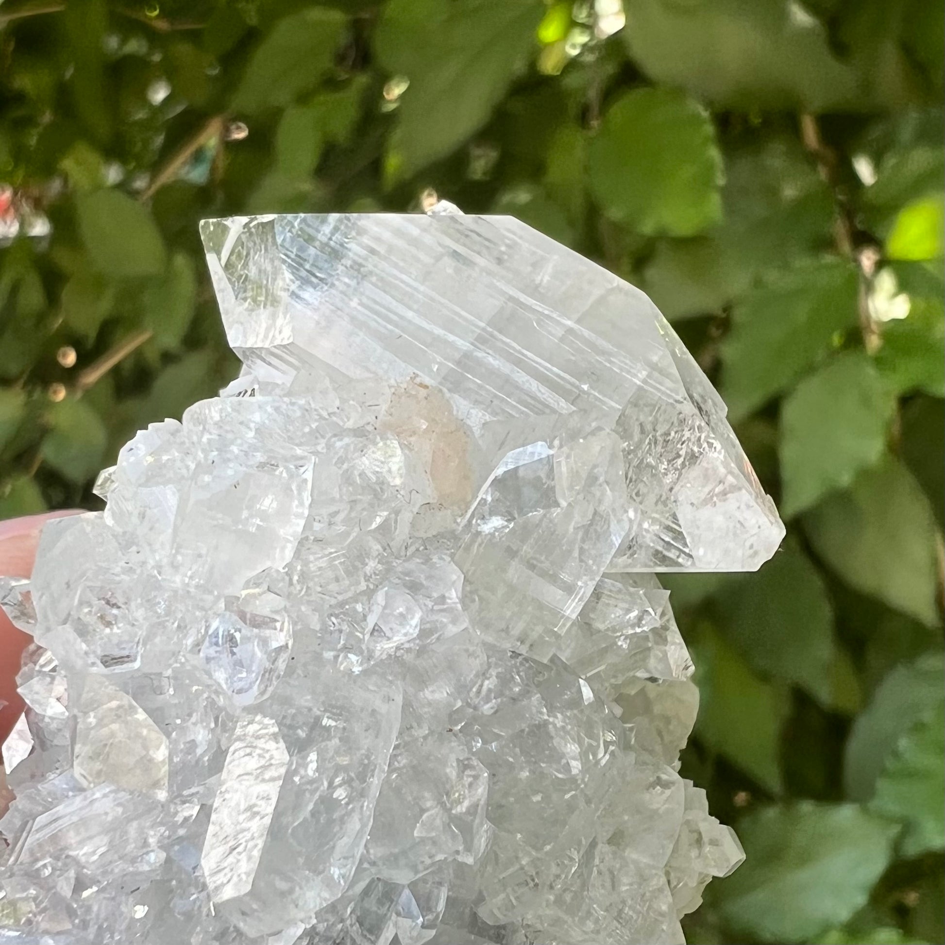 Double terminated mirror apophyllite point in cluster
