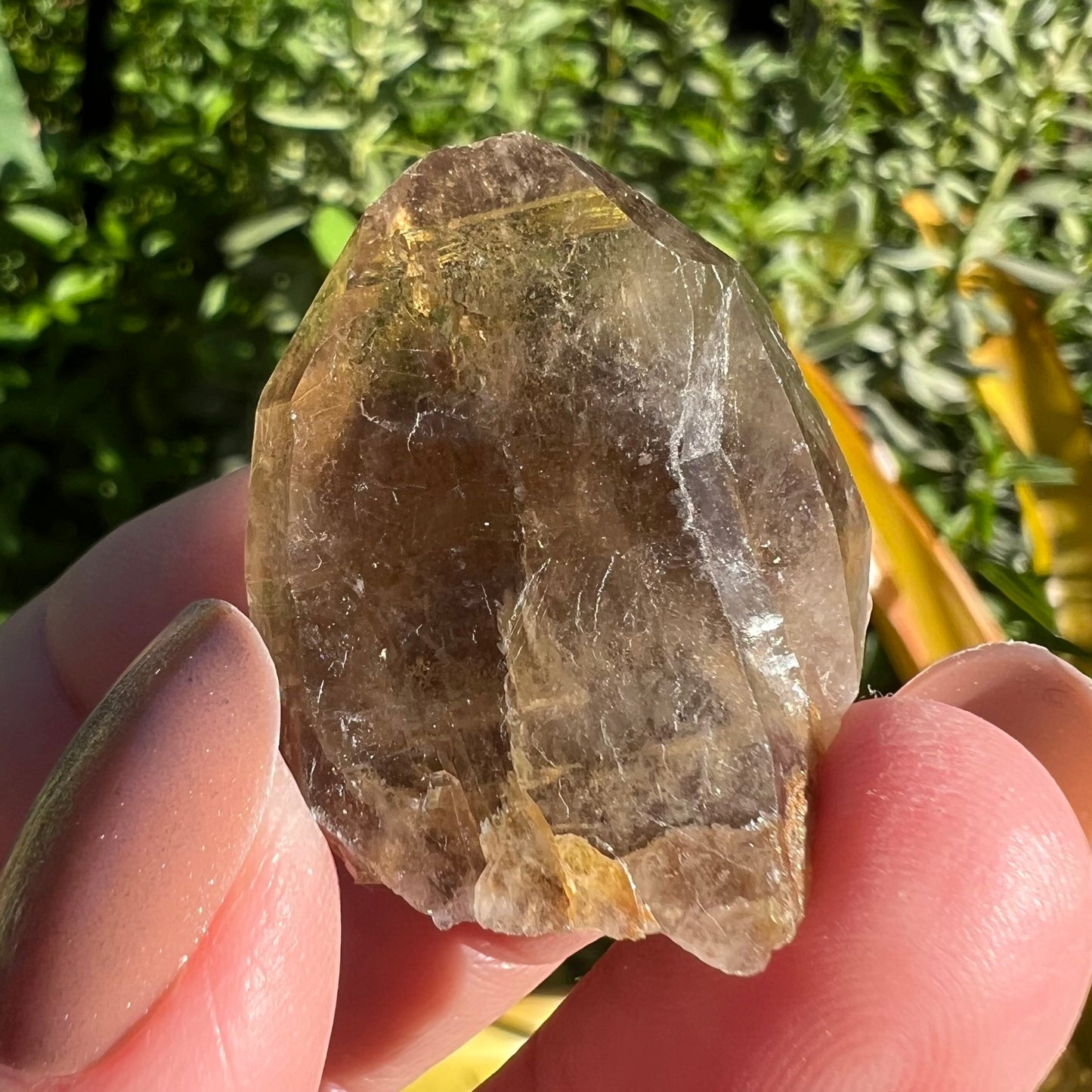 Natural Smoky Quartz point - Namibia