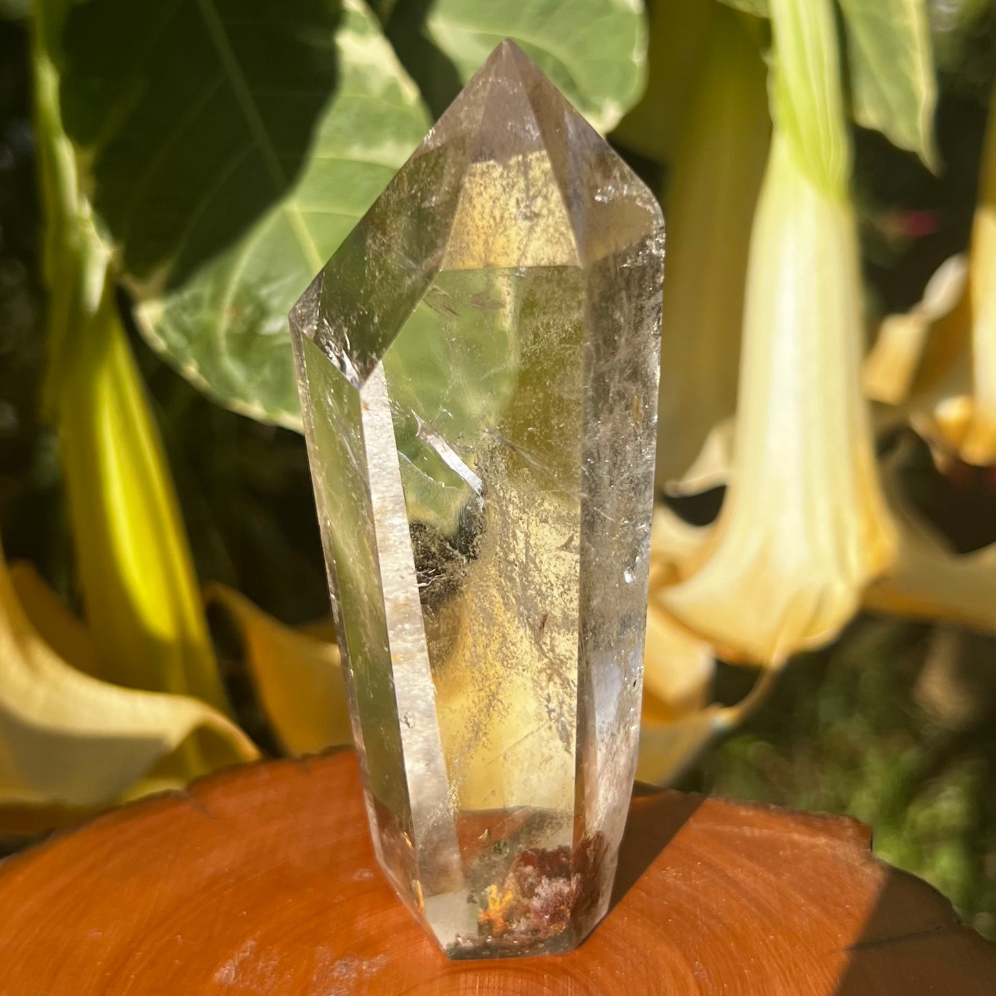 Beautifully optical polished Hyaline Quartz Point from Brazil, featuring a gorgeous 'garden' inclusion display at the base and the occasional small golden toned inclusion through the point.