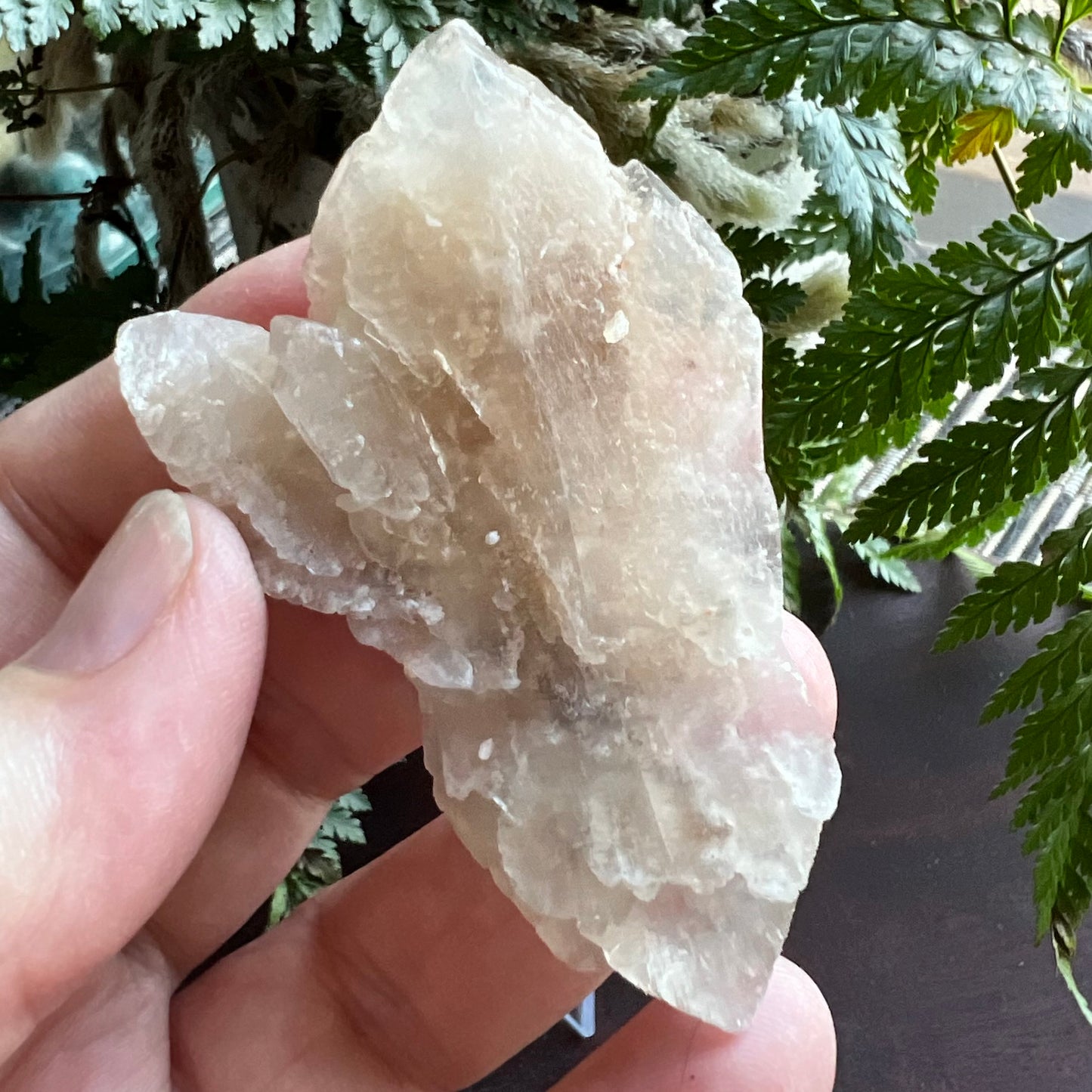 Selenite Desert Rose | Gypsum Rose Selenite Specimen , Australian Desert Rose Specimen
