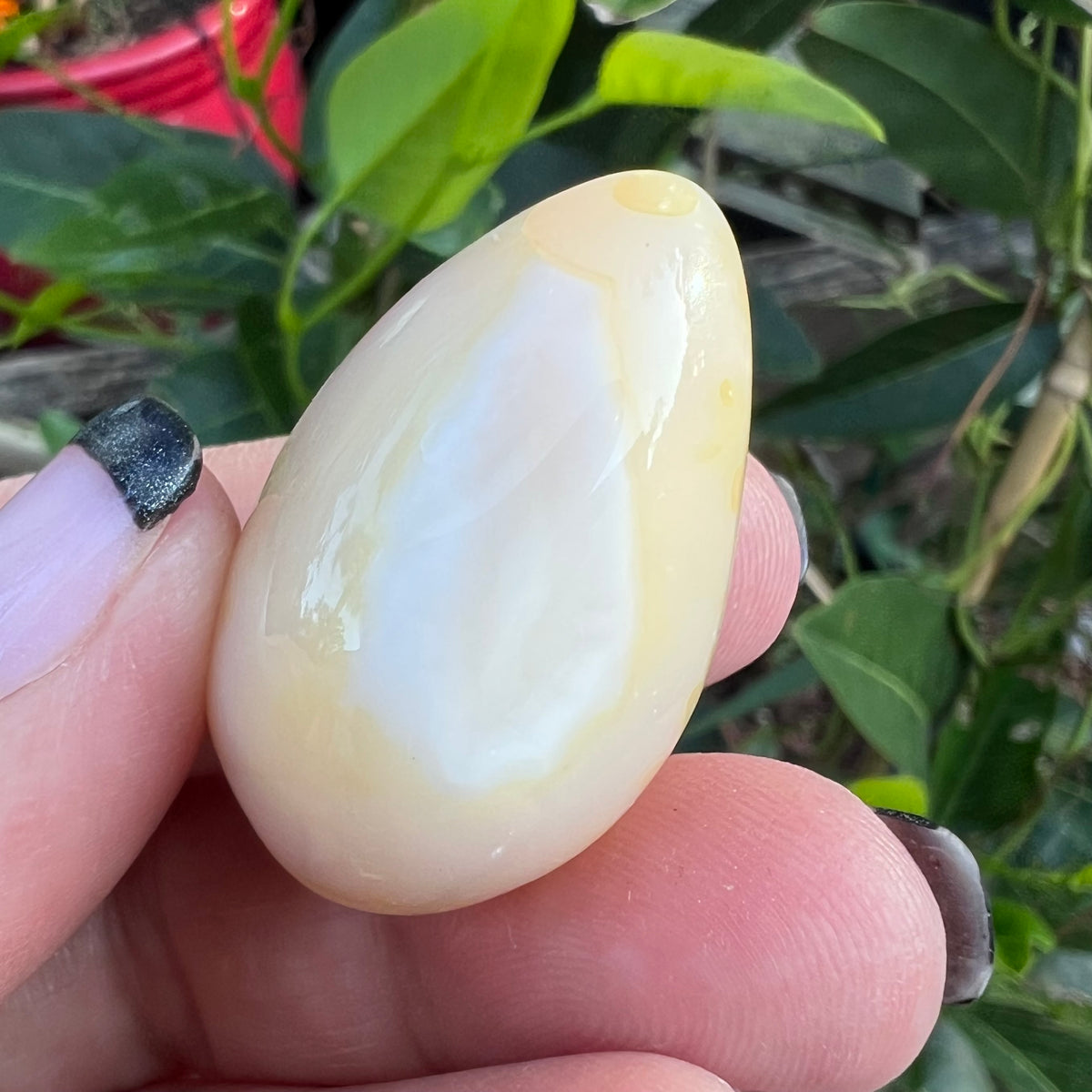 Natural Yellow Flower Agate tumblestone 