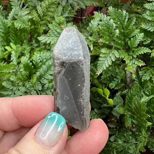 Smoky Quartz with Black Quartz Core and Thermal etching - Inner Mongolia