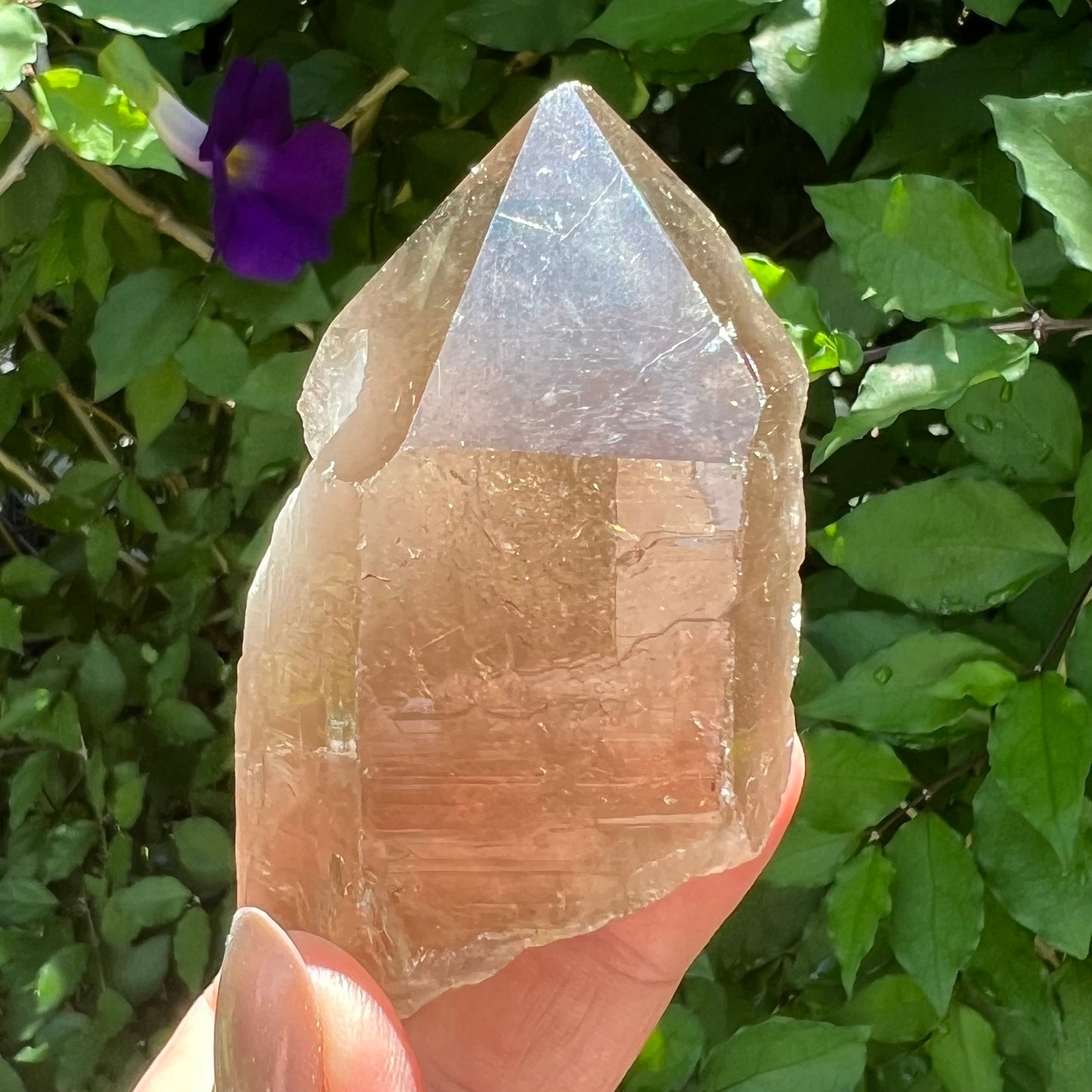 Rutilated Smoky Quartz Point |  Brazil | Natural and unpolished