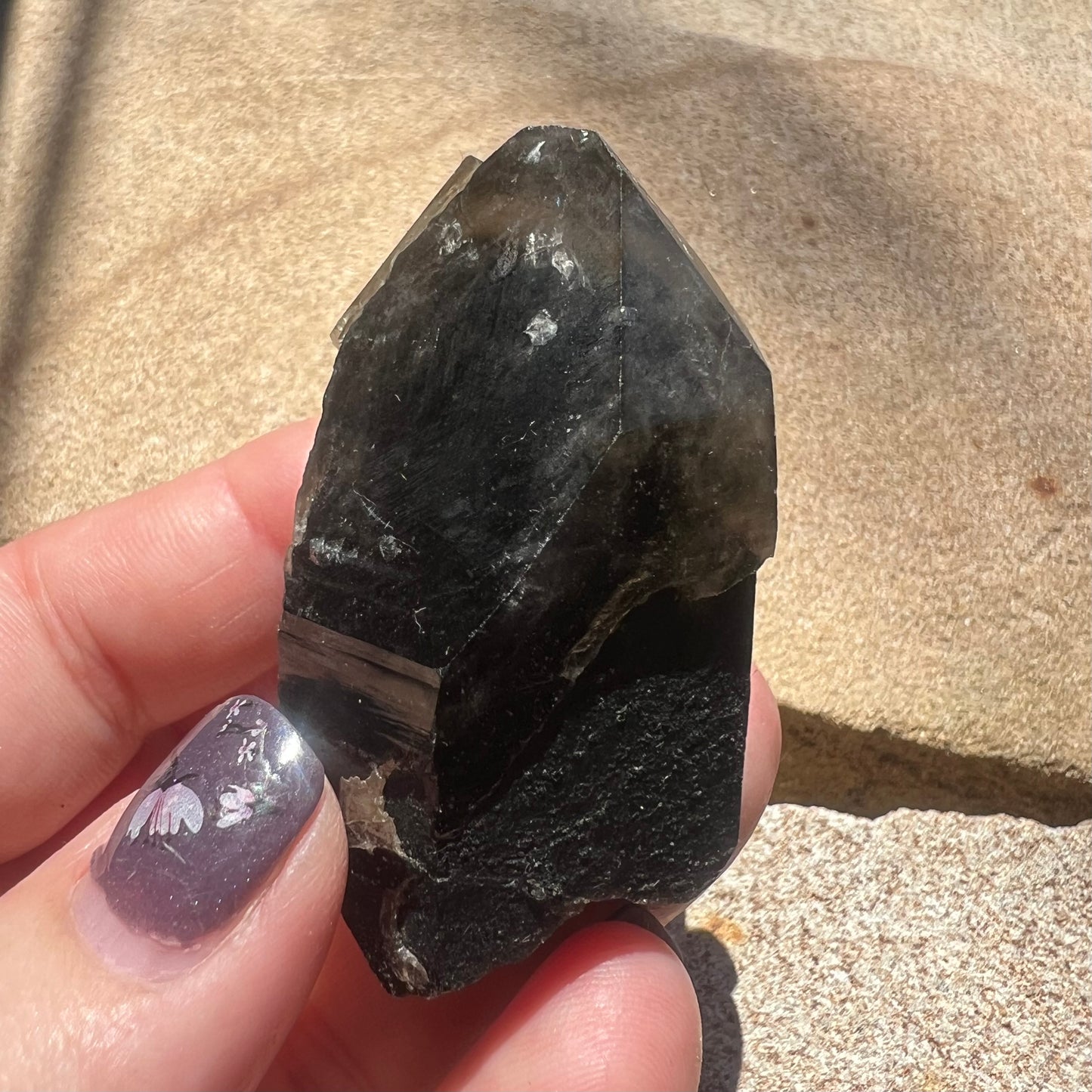 Morion Quartz Point | Black Quartz with Smoky Quartz capping