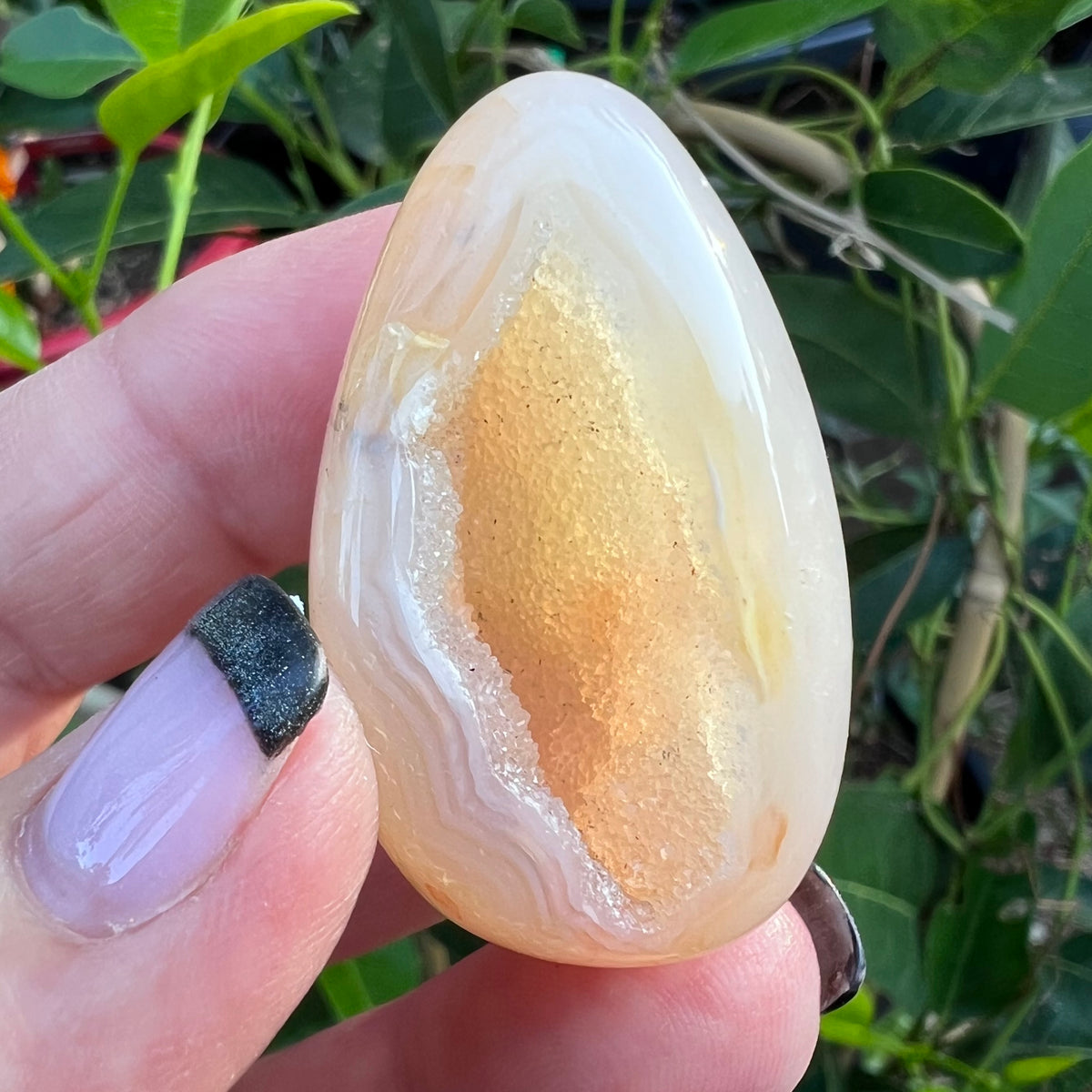 A polished agate geode stone showing pale mineral banding and a sparkling crystalline interior cavity, with green leaves in the background.