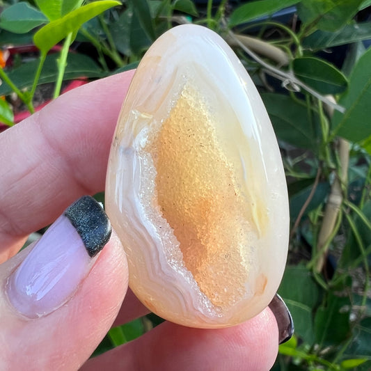 A polished agate geode stone showing pale mineral banding and a sparkling crystalline interior cavity, with green leaves in the background.
