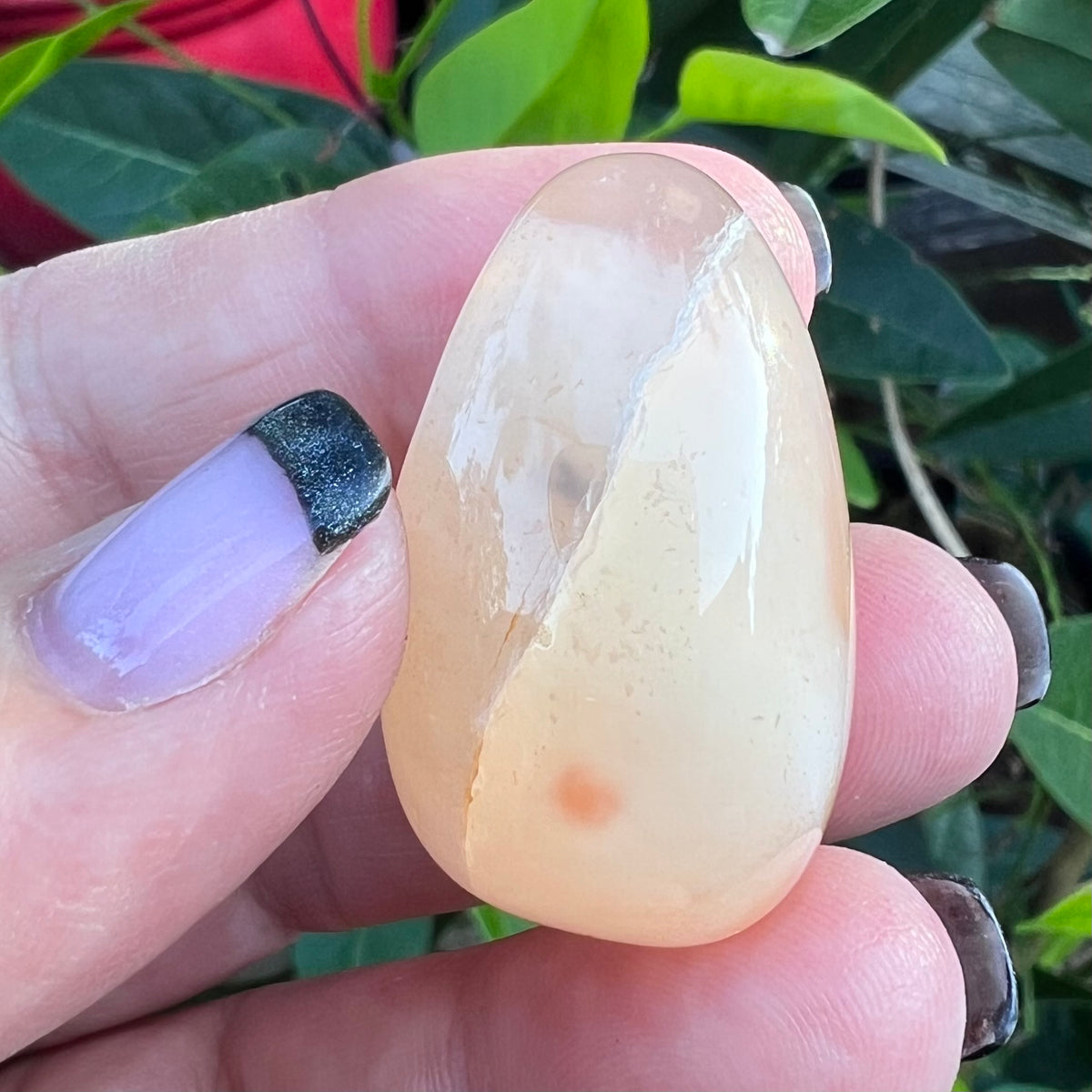 Polished Flower Agate Geode Egg with large Crystalline Druzy Cave