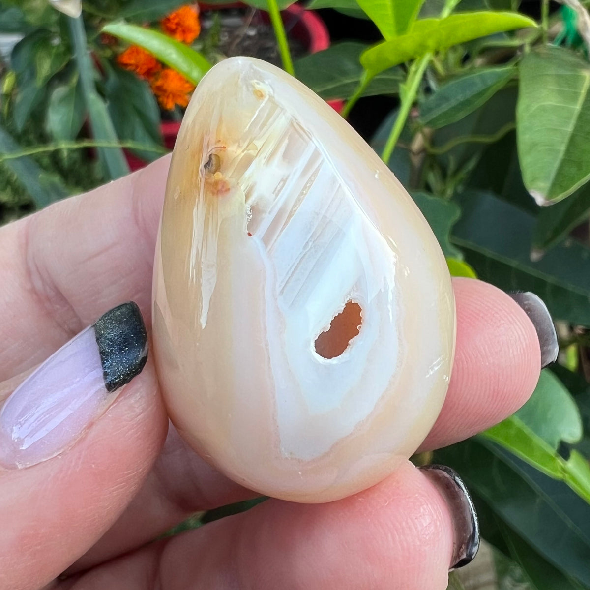 banded flower agate ovoid egg with druzy pocket
