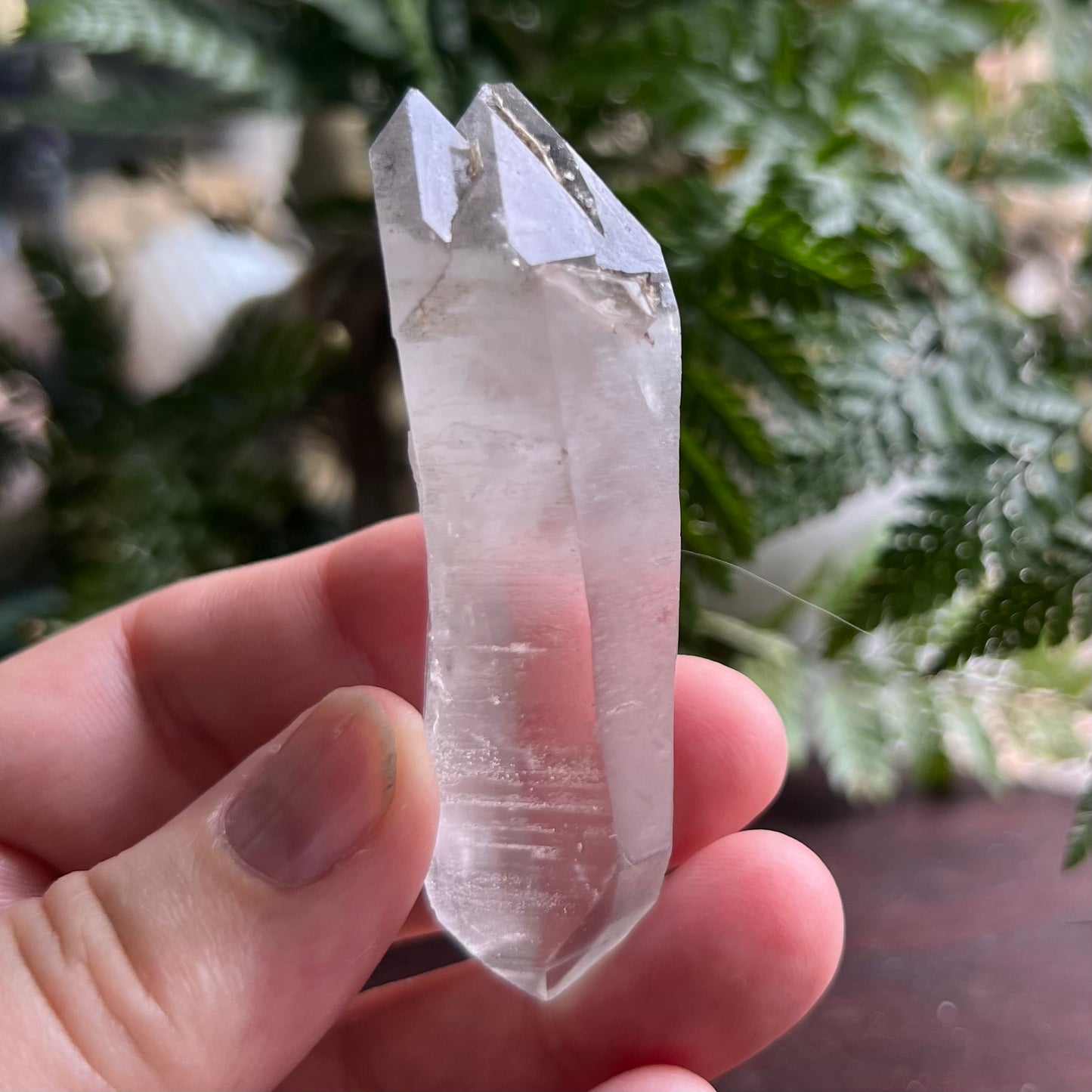 Black Phantom Quartz Multi Terminated free floating point.