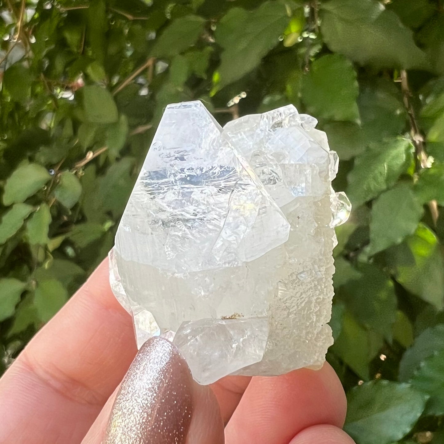 'Hen & Chickens' Mirror Apophyllite on Clear Calcite Matrix Cluster - Jalgoan District, Maharashtra, India